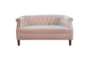 Design Square Designer Modern Velvet Fabric Loveseat 2-Seater Lounge Couch Sofa - Pink