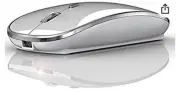 Wireless Mouse for MacBook Pro/Air Laptop Windows OS Silver J8-J13