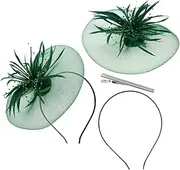 [HONITANO] 2pcs Mesh Feather Headdress Performance Hair Accessories Scene Hair Accessories Garden Party Dresses for Women High Tea Hats for Women Tea Party Dress Green Artificial Feather
