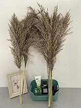 Natural Dried Pampas Grass 10Pcs Artificial Pampas Grass 23.6'' Tall Reed Grass Dried Flowers Bouquet Reed Plume for Wedding Flower Arrangements Hotel Home Living Room Bedroom Party Decor