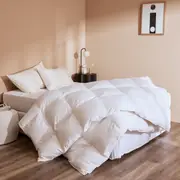German Made Canadian Goose Down Quilt - Winter Warmth Doona