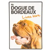 Magnet & Steel My Dogue De Bordeaux Lives Here