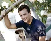 Robert Conrad star of Wild Wild West 1960's handsome in blue polo 24x36 poster