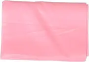 Pilates Resistance Bands for Stretching and Strength Training TPE Stretch Band for Fitness Exercise and Dancers Durable and Comfortable Workout Tool