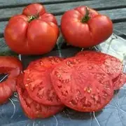 Tomato Beefsteak 25 Seeds