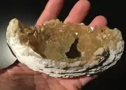 Calcite 'Fossil Canoe' clam healing crystal