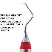 DENTAL GRACEY CURETTES COLOUR CODED MOLOR BUCCAL & LINGUAL #7 SGCC9 Quality Equi