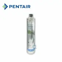 在飛比找樂天市場購物網優惠-PENTAIR EVERPURE S100濾心 美國原裝進口