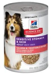 Hill's Science Diet Adult Sensitive Stomach and Skin, Salmon & Vegetables- 1 Can