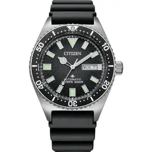 【CITIZEN 星辰】PROMASTER NY012系列潛水機械錶 送行動電源 畢業禮物(NY0120-01E)