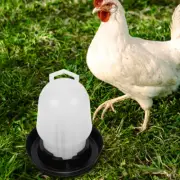 Automatic Chicken Waterer Watering System Drinking Fountain Baby Coop Feeder