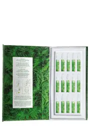 Royal Fern Phytoactive Skin Perfecting Essence 200ml 200ml