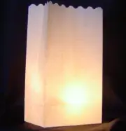 10 White Tealight Candle Party Paper Bag Lantern Outside Path Luminara Decor