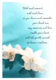 In Sympathy Magnolia Blossom Blossoms Theme Hallmark Greeting Card