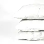 White 300 Gr 16 X 11 Pillow Insert