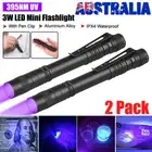 2X Portable 395nm UV Light Blacklight LED Flashlight Penlight Clip Pen Torch