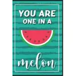 YOU ARE ONE IN A MELON: CUTE WATERMELON NOTEBOOK, GIFT NOTEBOOK