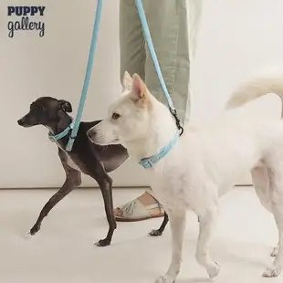 韓國PuppyGallery 狗狗項圈牽引小中大型犬脖圈頸圈泰迪比熊項圈