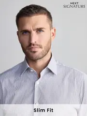 Neutral Stripe Slim Fit Premium Two-Fold Cotton Shirt (B90156) | $87