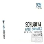 SCHUBERT: PIANO SONATAS NO.14, D.784 & NO.19, D.958 / PAUL LEWIS