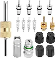 Fulasun Car Air Conditioning Valve Core Kit Copper Seal Cap Valve Kit Good Sealing AC Refrigerant Tool Precise Control for Automotive Fulasun(17 pieces,Mixed color)