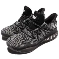 在飛比找Yahoo!奇摩拍賣優惠-{全新正品現貨} ADIDAS CRAZY EXPLOSIV