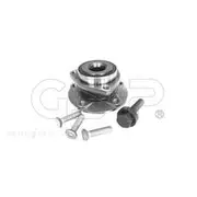GSP Wheel Hub Assembly - 336004K
