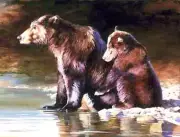 Bear Accent & Decor Tile Julie T Chapman Wildlife Art RW-JTC007AT