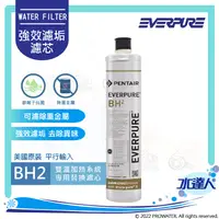 在飛比找陽信商店街優惠-【宅家最水】EVERPURE美國愛惠浦 BH2 濾芯｜愛惠浦