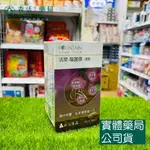 藥局 現貨_永信 活泉FOUNTAIN 莓麗康膠囊 90顆/盒 [新包裝]