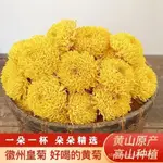 花茶精選 菊花茶婺源皇菊婺源黃菊花正宗黃山貢菊金絲皇菊優質花茶茶葉泡茶 1TJU