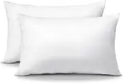 OTOSTAR Pack of 2 Throw Pillow Inserts, 12 x 20 Cushion Inner Soft Fluffy Plump Stuffer Cushion Pads White Decorative Pillow Inserts