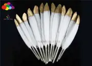 pretty Premium Diy 10-100PCS golden Pheasant Tail Feathers 10-15cm/4-6in