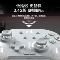 在飛比找ETMall東森購物網優惠-魔派虎賁機械游戲手柄pc電腦版switch手柄pro特斯拉n