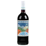 "Abbondanza" Montepulciano DOC 2022 1000ml - Buy Online | The Wine Collective Marketplace