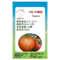 在飛比找PChome24h購物優惠-【蔬菜工坊】G36.牛番茄種子