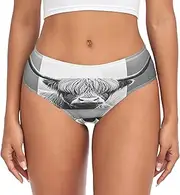 [RPLIFE] Highland Cow Bathtub Gray Womens Breifs Underware, Breathable Brief, Womens Stretch Underwear Briefs, Highland Cow Bathtub Gray, Large