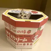 Scratchy Fun Cat Litter Corrugated Paper - Blue/Pink Strawberry Milk Vanilla Mil