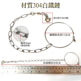 中型/中小型白鐵鏈 材質304白鐵鏈 鸚鵡用品 腳鍊用 鸚鵡安全腳鍊 波力鸚鵡二館