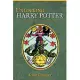 Unlocking Harry Potter: Five Keys for the Serious Reader