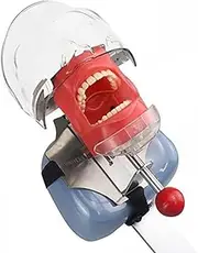 Dental Phantom Head Model, Dental Simulator Manikin Educational Dental Teeth Model with Bench Mount for Fix on Dental Chair