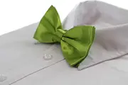 Mens Light Green Solid Plain Colour Bow Tie