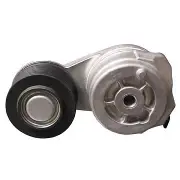 Accessory Drive Belt Tensioner Assembly WP For 2001-2002 Peterbilt 270 Dayco