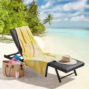 Renee Taylor Jacquard Velour Bee Beach Towel 2 Pack