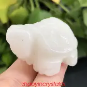 1pc Natural 1.5'' white jade tortoise skull quartz crystal skull reiki carved