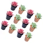 12 Pcs Miniature Bonsai Model Dollhouse Plants Artificial Adorn Child