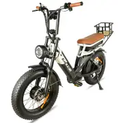[EU DIRECT] BAOLUJIE DP2033 Electric Bike 48V 30AH Battery 1000W*2 Dual Motors 20inch Tires 90-100KM Max Mileage 120KG M