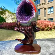 5.86LB Natural Amethyst Dinosaur Egg Quartz Crystal Mineral Specimen +base