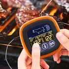 Meat Digital Thermometer with Alarm Double Channel for Turkey Frying