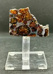 RARE PALLASOVKA METEORITE PALLASITE PARTIAL SLICE 16,12 g